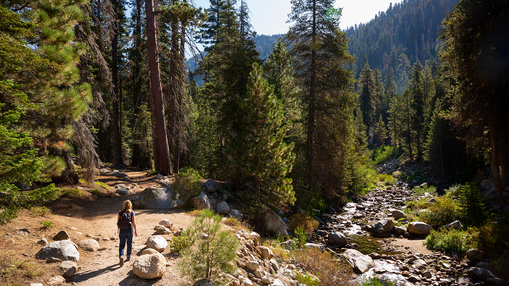 Woman hiking in forest