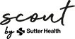 Scout Logo 56 wide