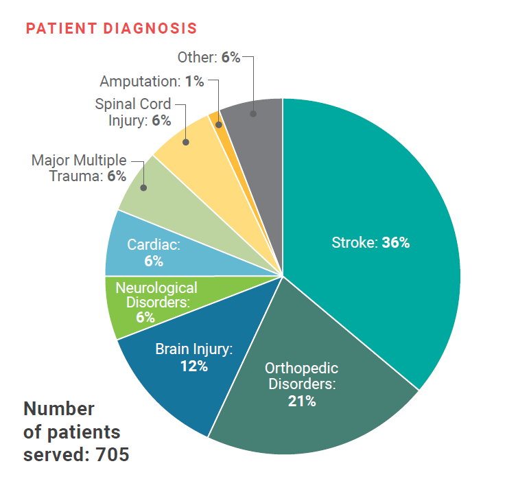 Pie Chart Displaying Patient Diagnosis: Stroke 36%, Orthopedic Disorders 21%, Brain Injury 12%, Neurologic Disorders 6%, Cardiac 6%, Major Multiple Trauma 6%, Spinal Cord Injury 6%, Amputation 1%, Other 6%