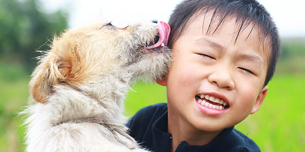 Boy and dog