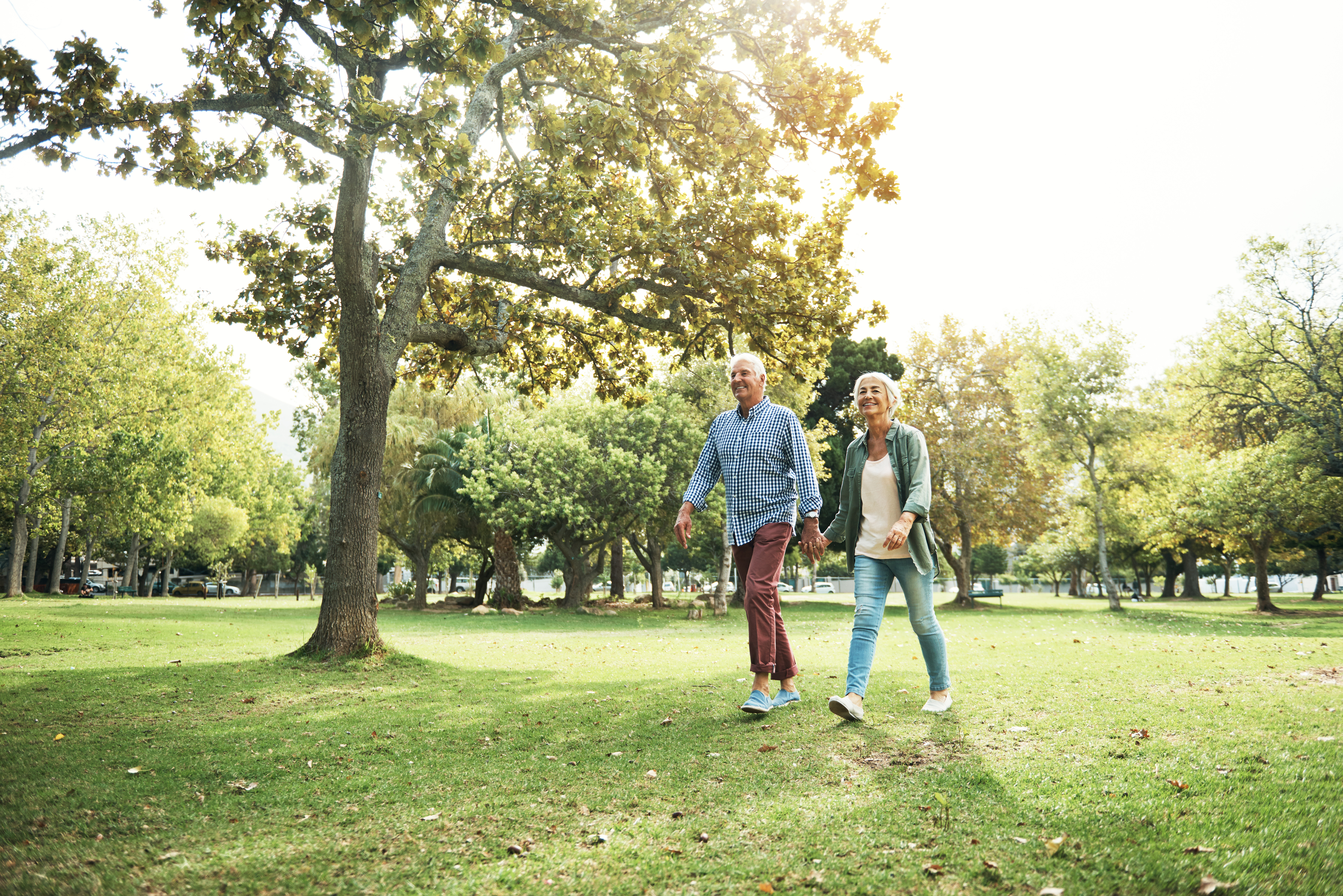 statins-heart-health