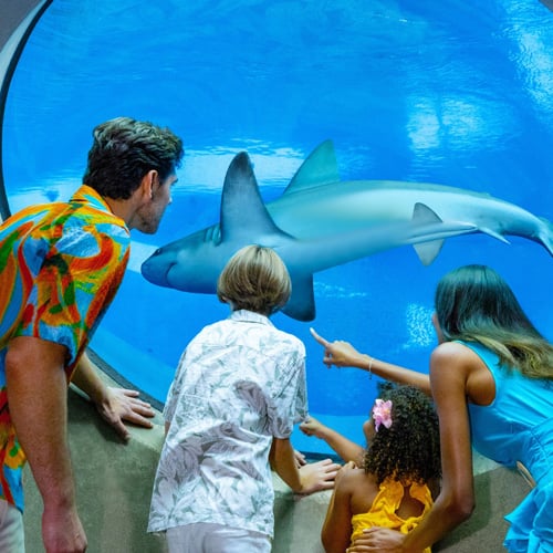 Frost Museum of Science  IMG