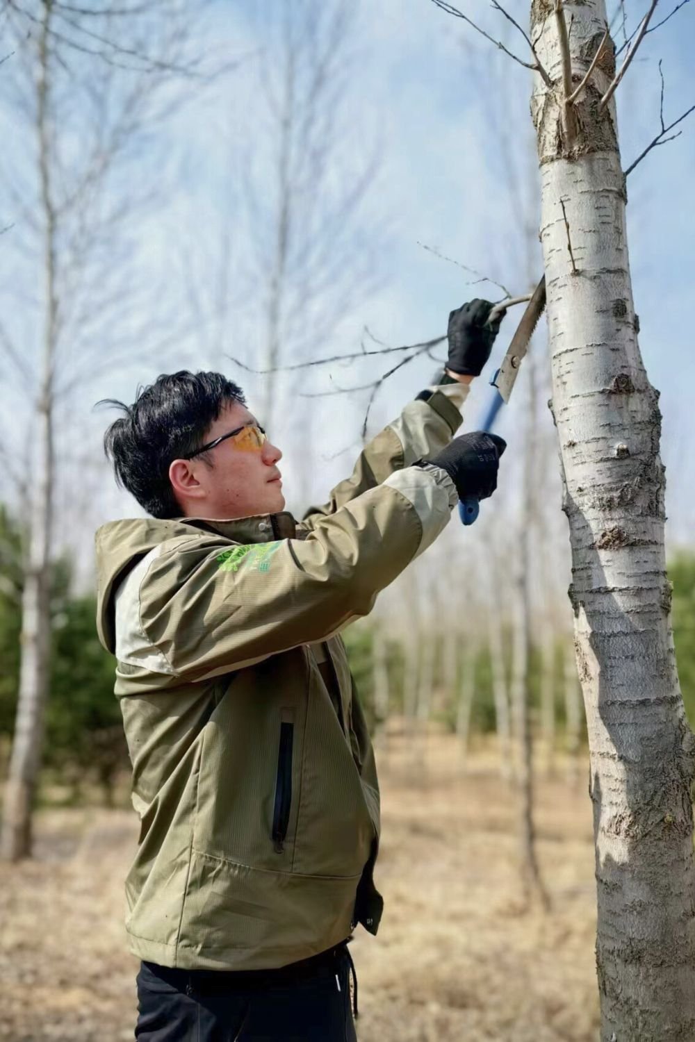 east_brand_site_homepage_Sustainability_MillionDollarTree_tree_planting