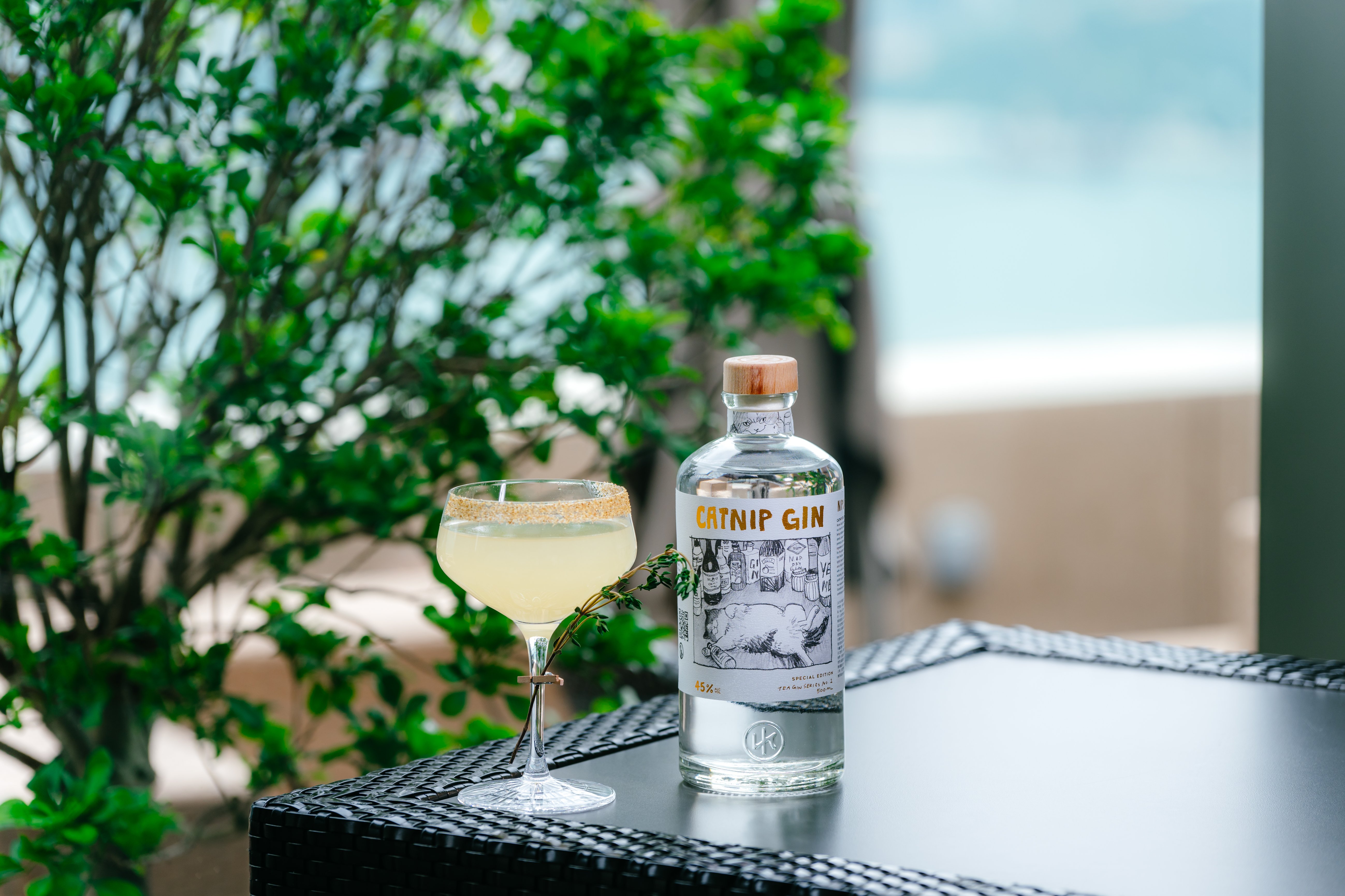 n.i.p gin in sugar IMG