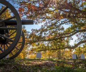 A 19th-century cannon sits on the grass. Behind it are old gravestones. There is a large tree.