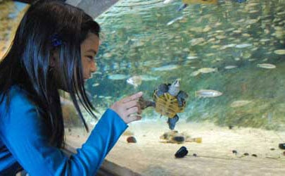 Liberty Science Center