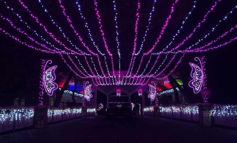 Zoo Lights in the Darkness