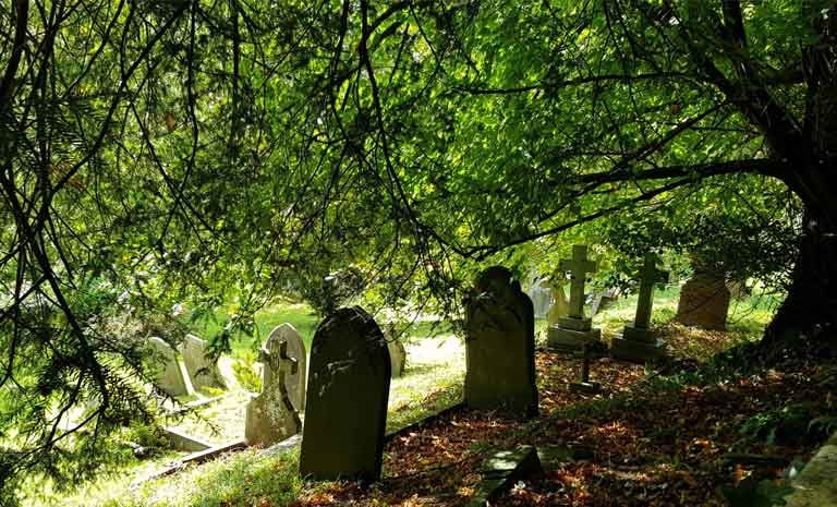 How to be a good ancestor | Andrew Recinos
