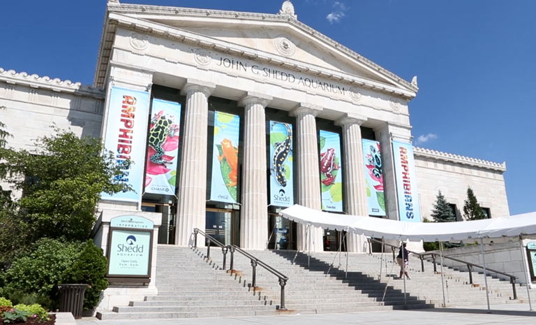 Shedd Aquarium | Success Story