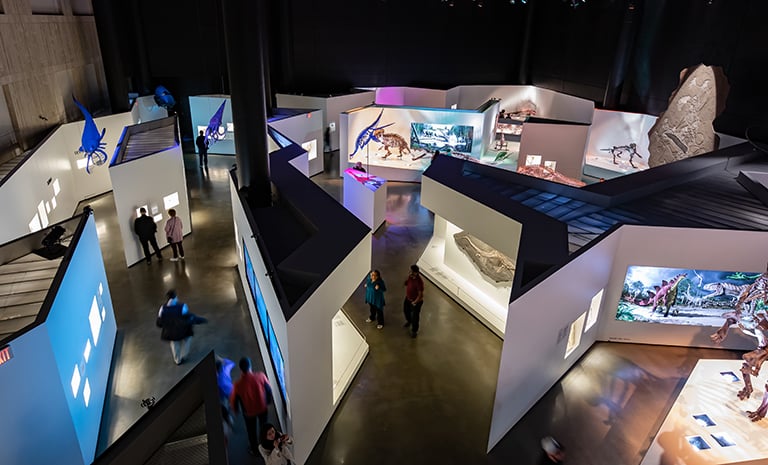Photo of Houston Museum Natural Science's Paleo Hall from above, showcasing multiple paleontology exhibits on display