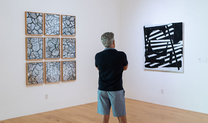 A visitor, seen from behind, gazes at an abstract black-and-white painting on a museum wall.