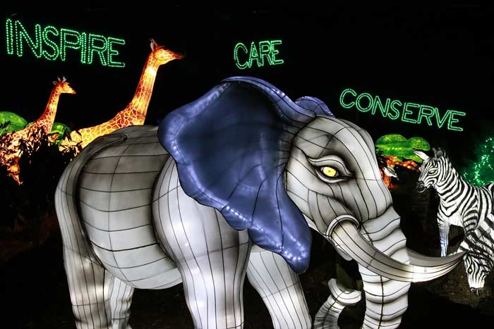 An illuminated depiction of an elephant, with words in lights behind it included 'inspire,' 'care,' 'conserve'