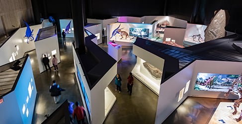 Overhead image of the paleontology exhibits at Houston Museum of Natural Science