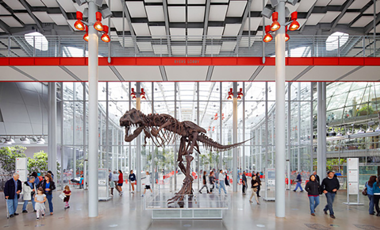 Visitors in the lobby of the California Academy of Sciences are greeted with a large skeletal fossil of a Tyrannosaurus Rex.