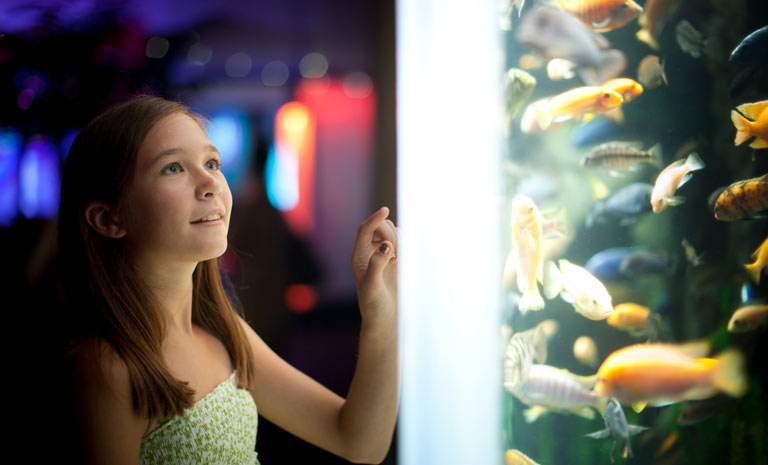 How Tessitura is improving the guest experience at Mystic Aquarium
