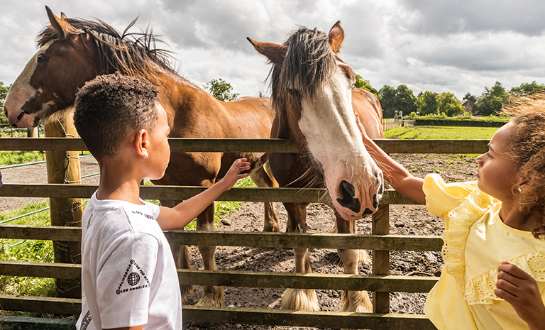 Two young children pet horses at the National Museum of Rural Life in Scotland.