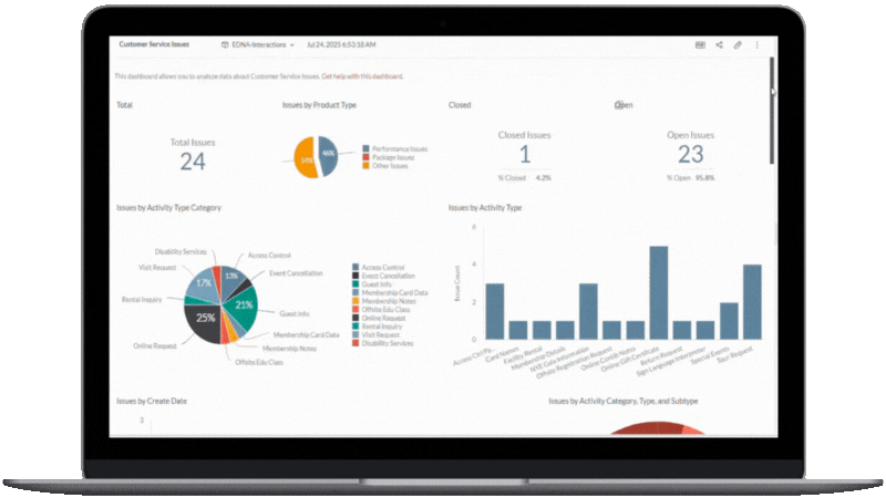 Laptop screenshot of Customer Service Issues dashboard featuring various tables and charts