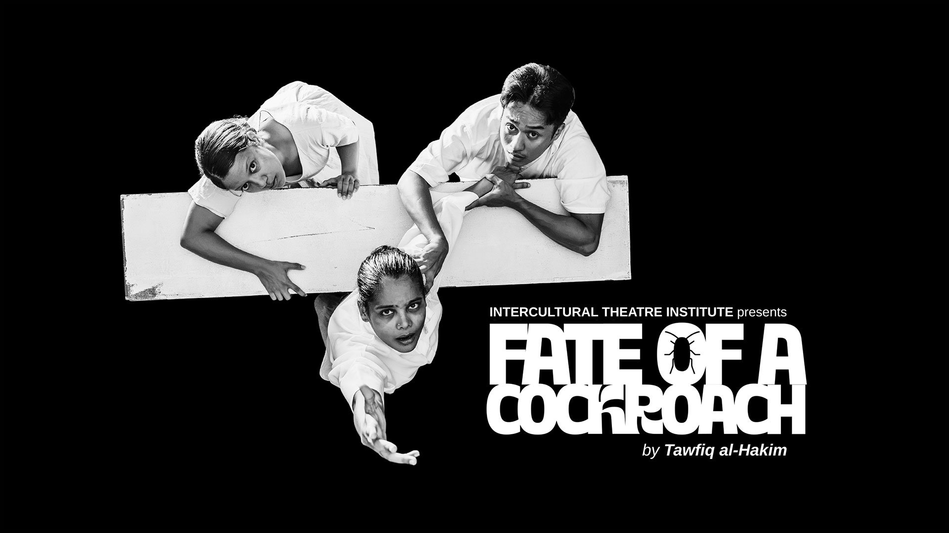 <div class="ck-content">
<p>20% off Fate of a Cockroach by Intercultural Theatre Institute</p>
</div>
