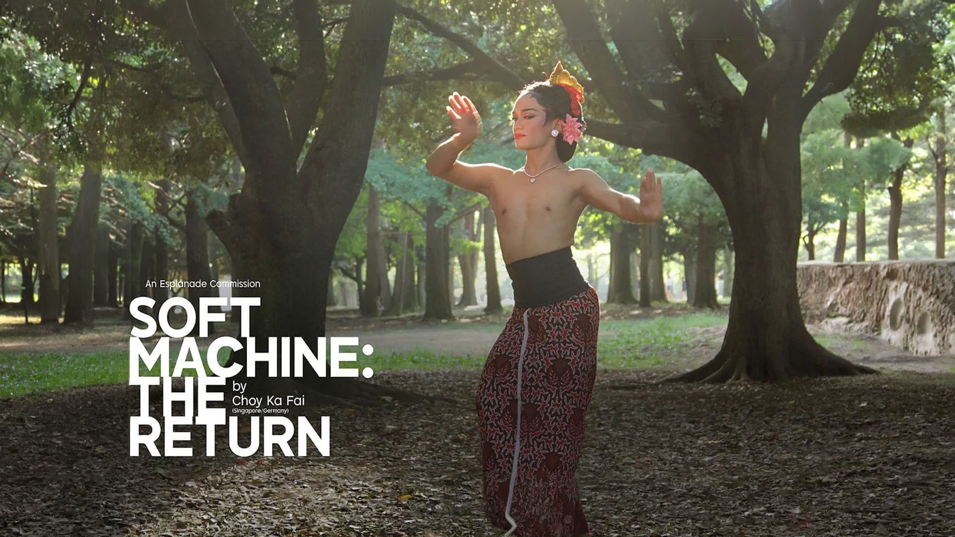 SoftMachine: The Return