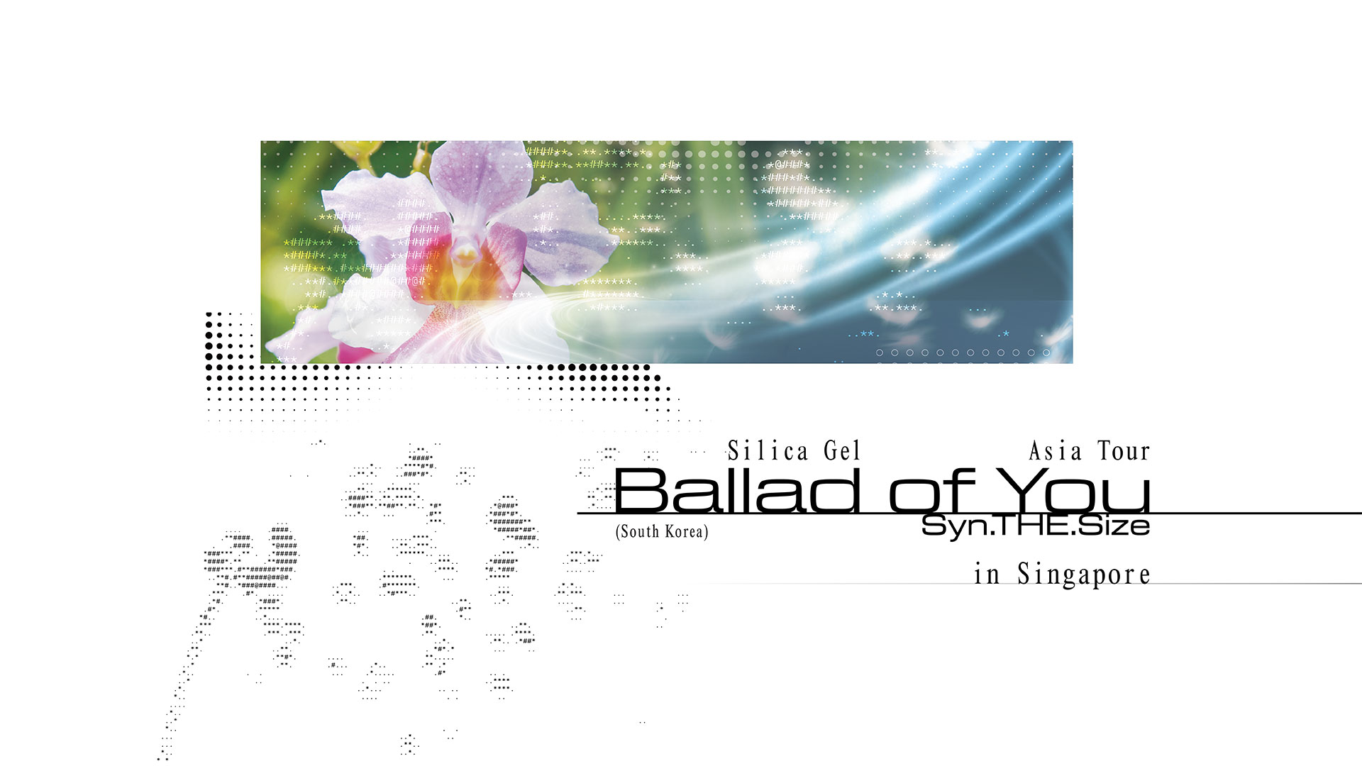 Silica Gel ASIA TOUR <Syn.THE.Size: Ballad of You>