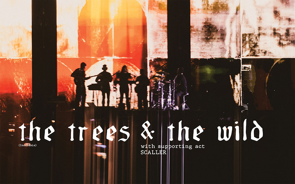 The Trees & The Wild