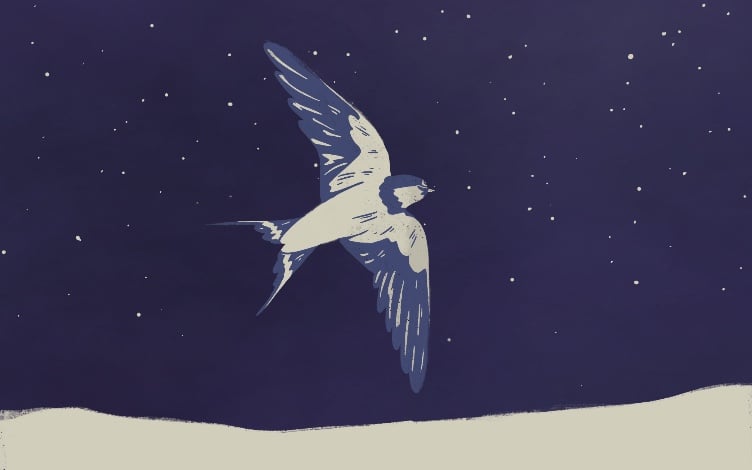 Nightswimming in Arthur Yap’s ‘nightjar’