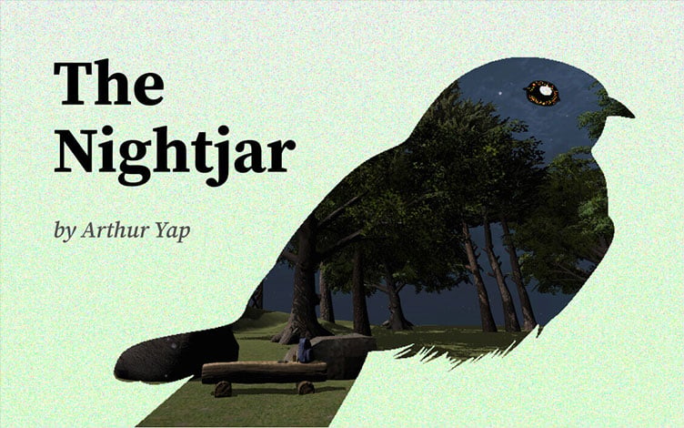 Nightjar by Arthur Yap