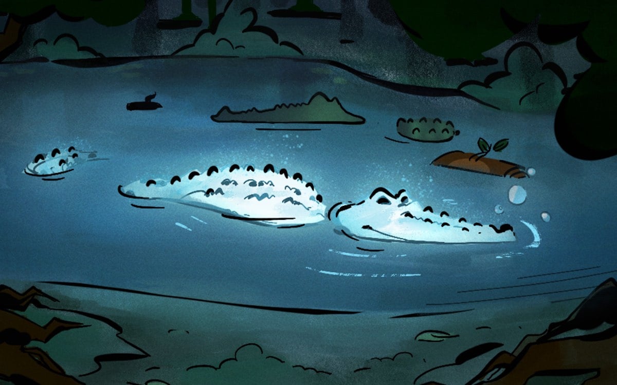 Searching for the White Crocodile