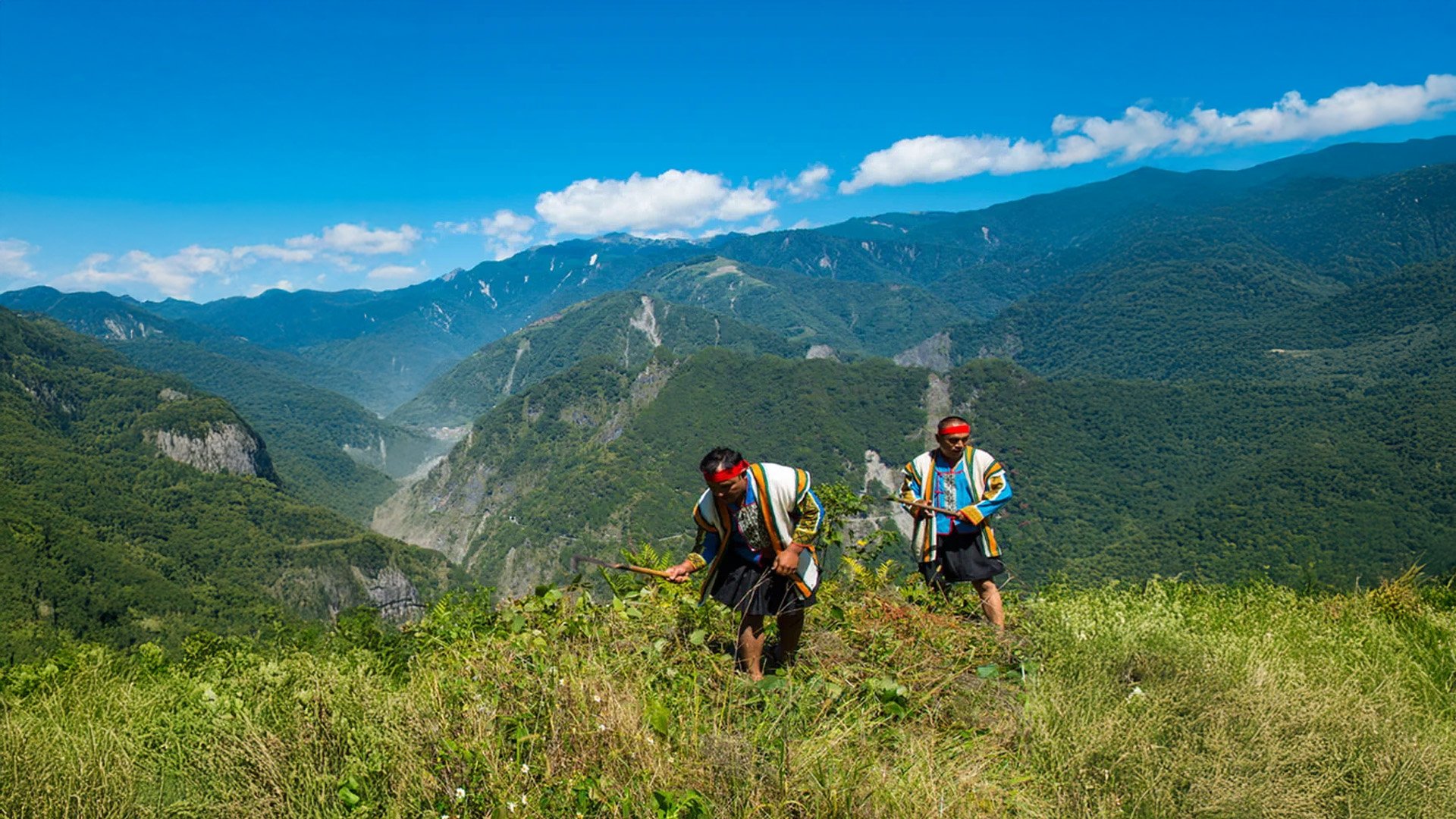 The Bunun of Taiwan: a shimmering vocal harvest