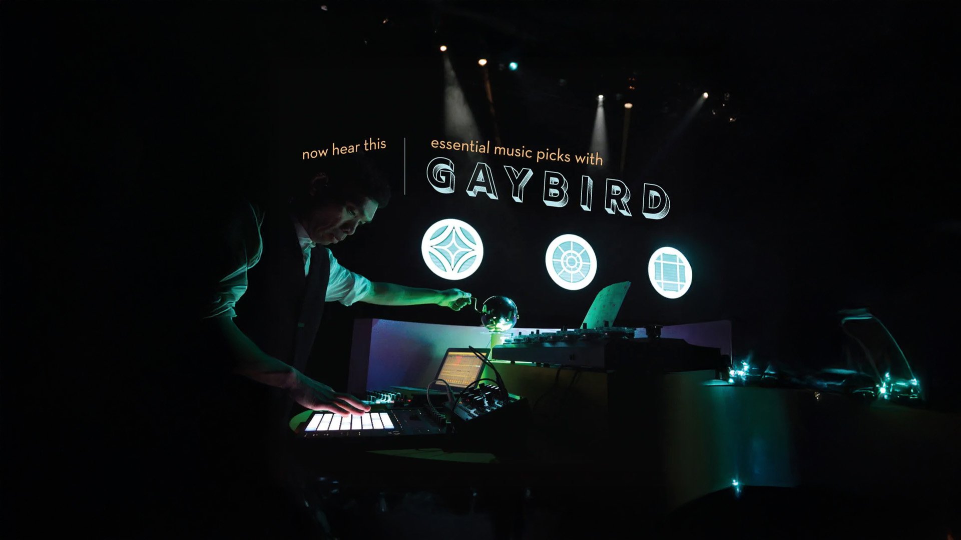 Now Hear This: Gaybird