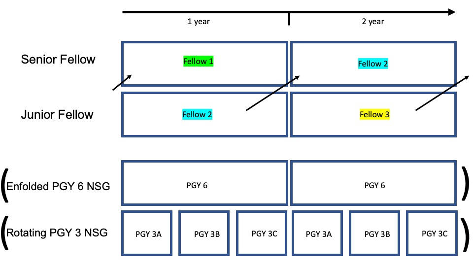 The overview chart for rotations of the neurointerventional fellowship.