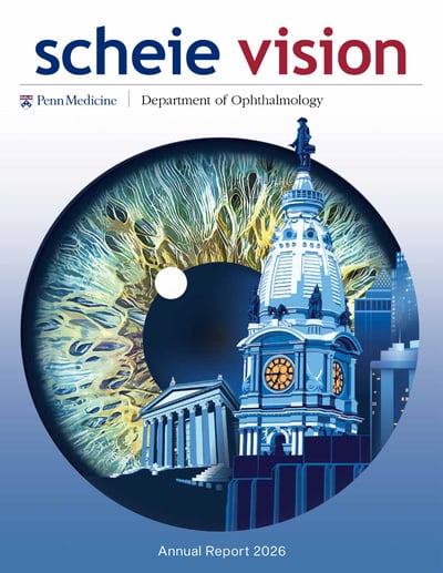 Scheie eye annual report cover