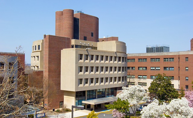 Scheie building