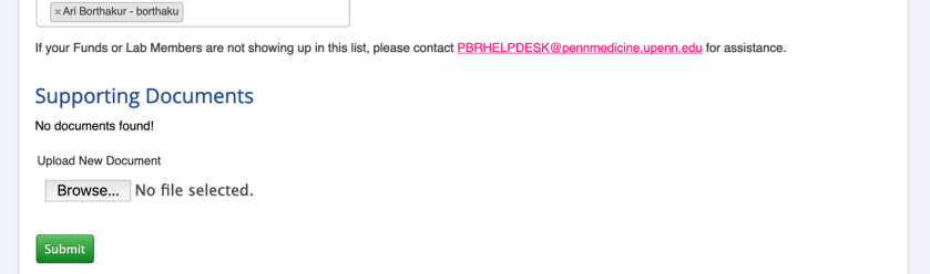 Screenshot: Supporting Documents upload section