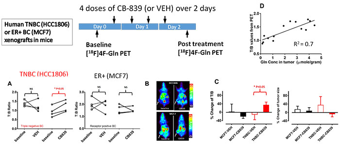MMICD Research Results