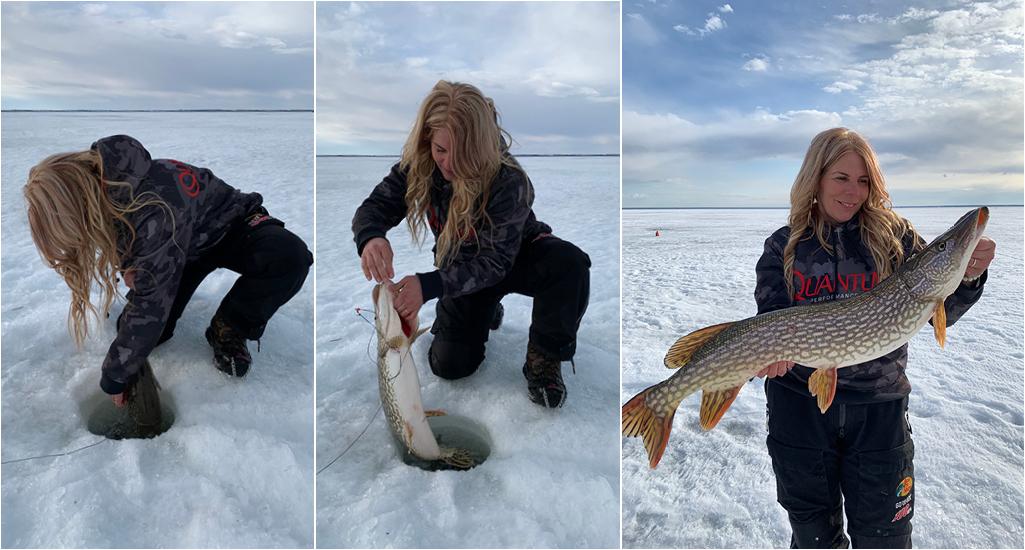 Northern Pike being pulled through the hole while ice fishing