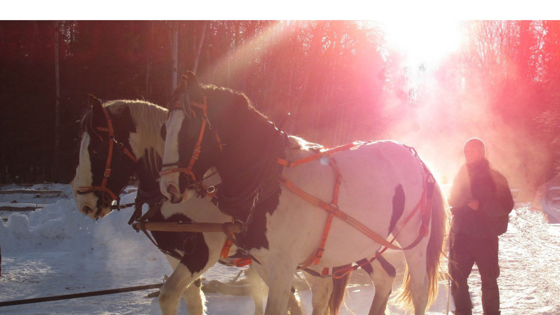 7 Winter Getaways in Northeast Saskatchewan