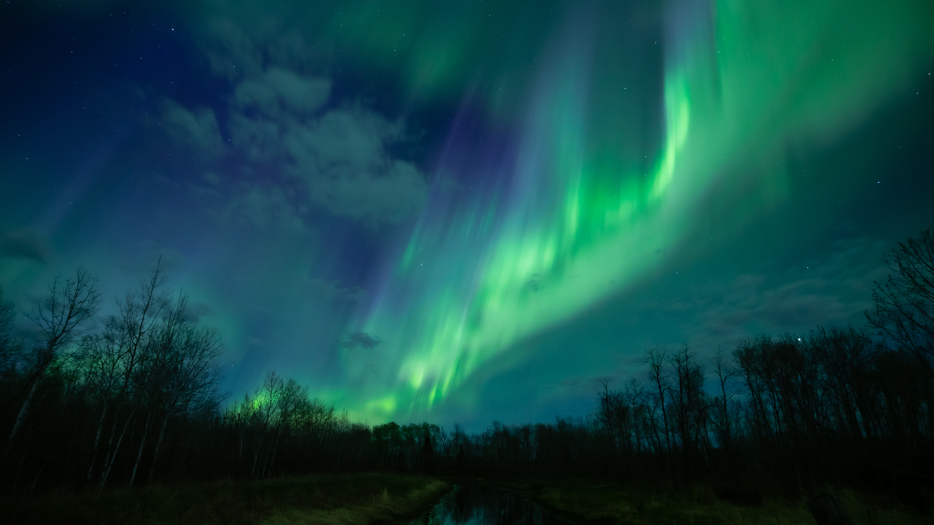 How to See the Northern Lights in Saskatchewan