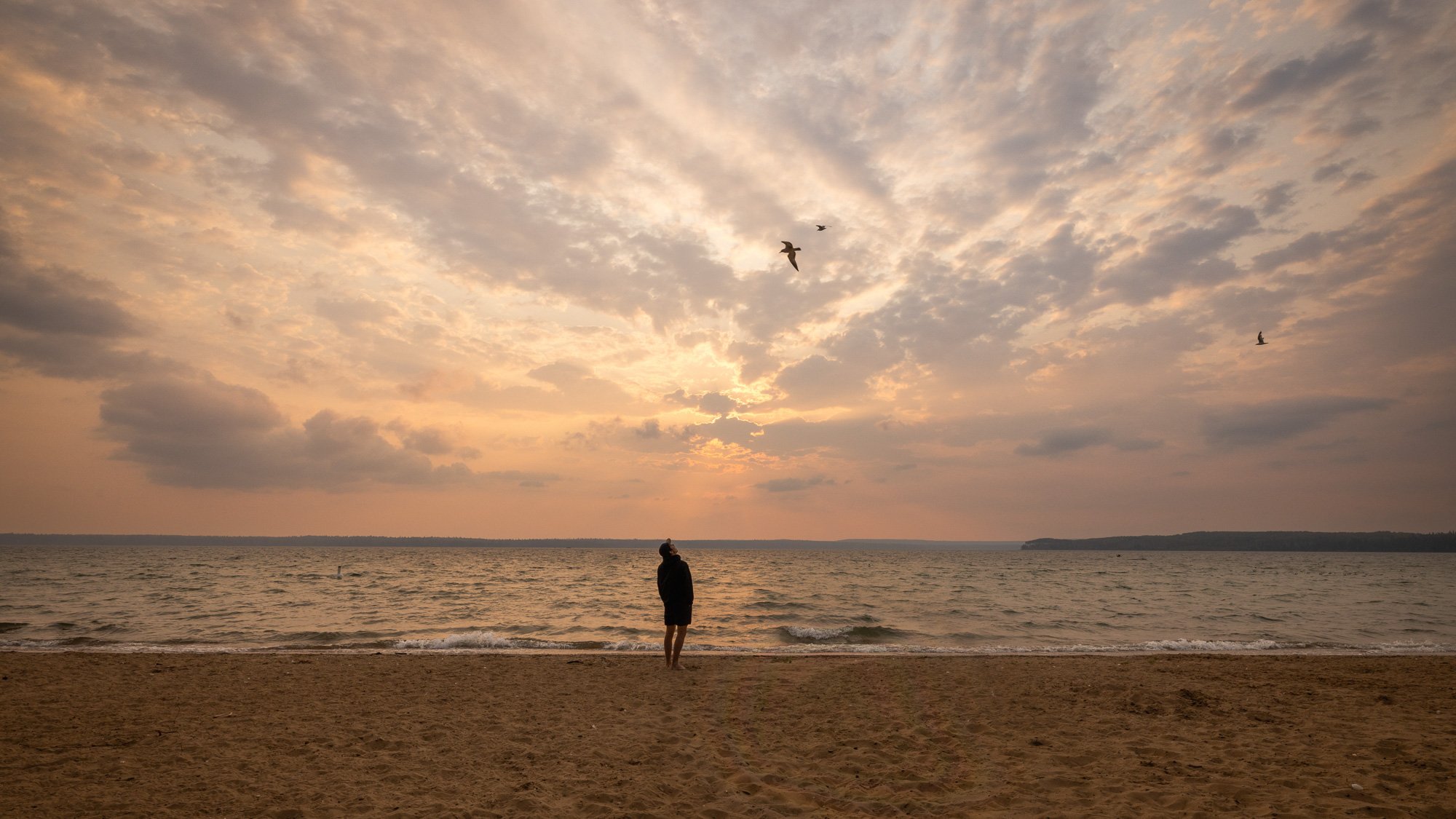 Man standing on lakeshore with sun setting behind golden cloudy sky and birds overhead