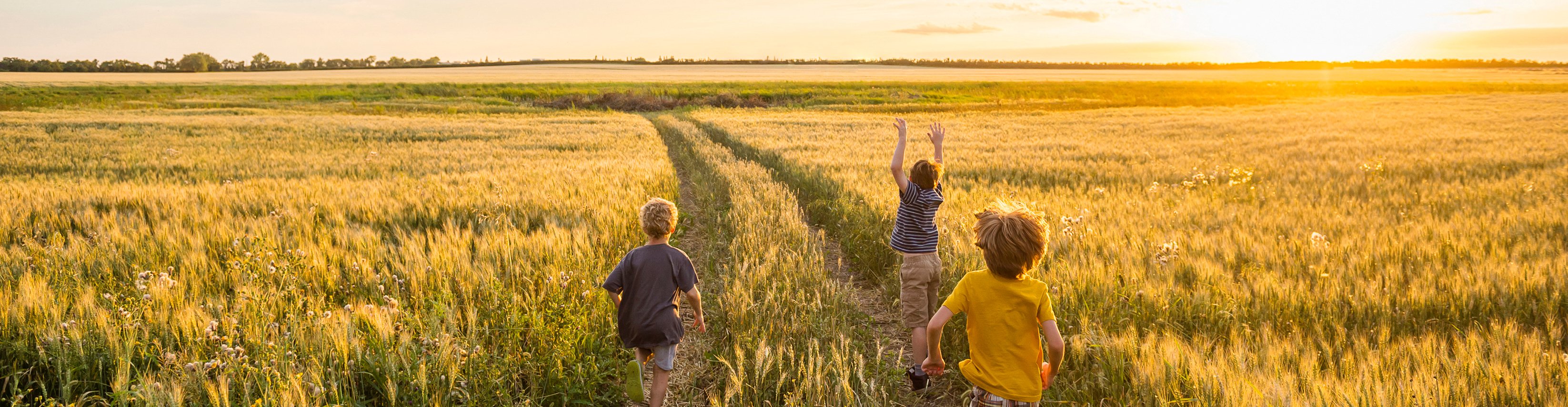 Children running happily through field of grain toward sunset