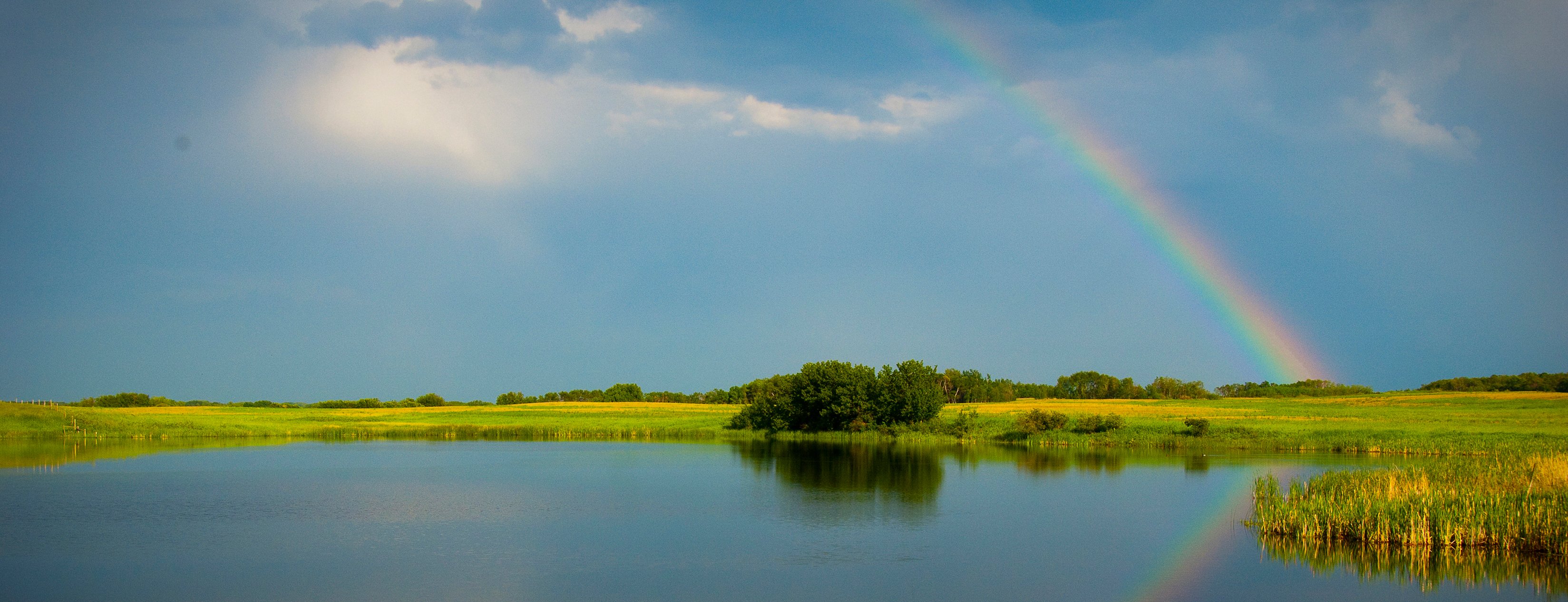 Moose Mountain rainbow