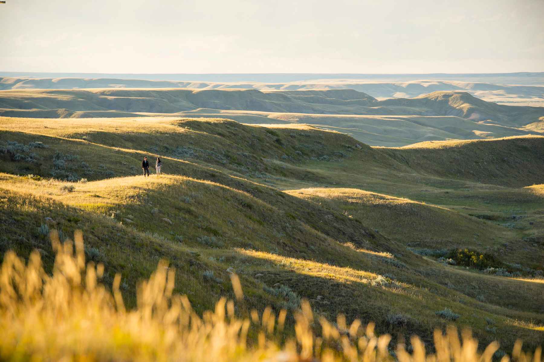 Hills at Grasslands National Park in Saskatchewan