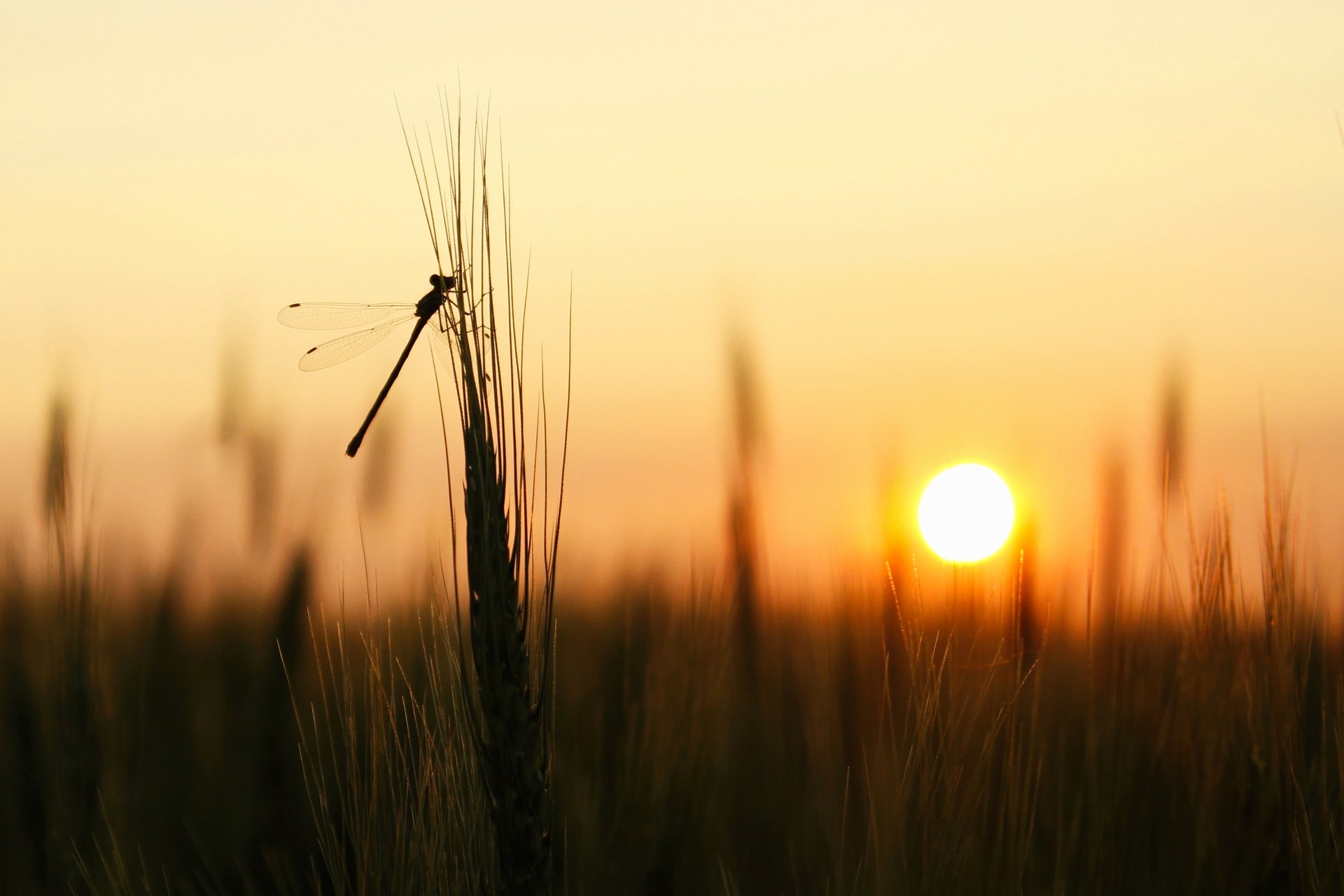 Photo Contest Winners Tourism Saskatchewan