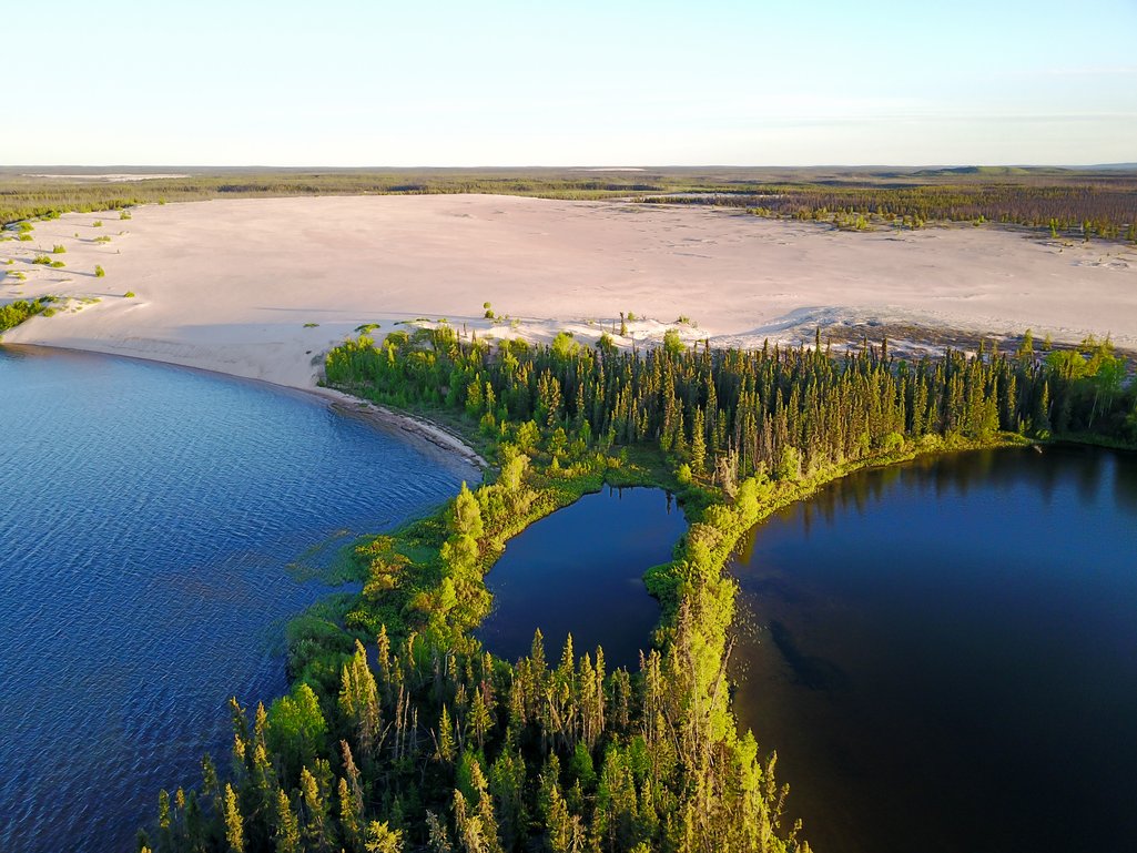 aerial view of sand dune formation beside a lake in the middle of a dense forest wilderness