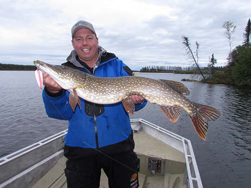 northern pike