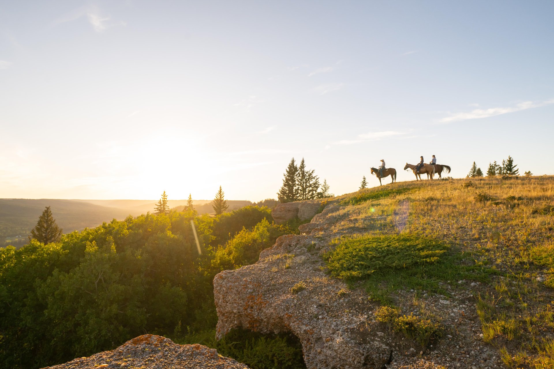 Horseback Adventures and Life on the Ranch