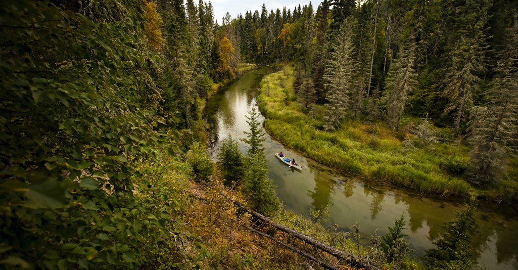 view from atop a hill looking down at a river with two people in a canoe paddling surrounded by dense boreal forest