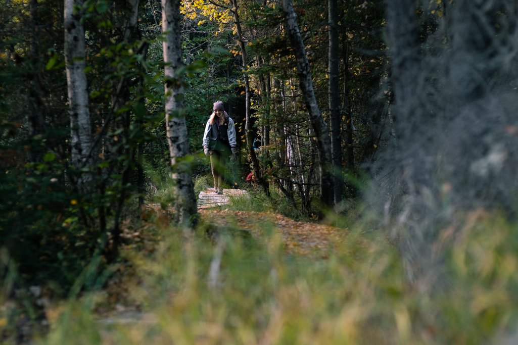 person hiking towards the camera in a dense forest with leaves on the ground