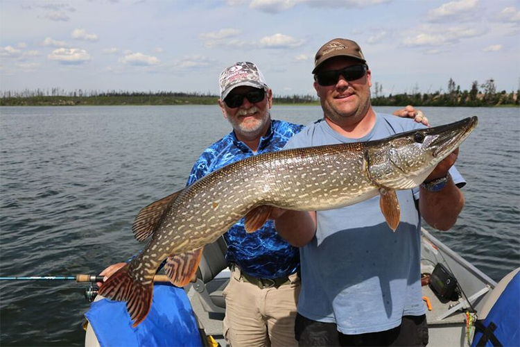northern pike Cree Lake Lodge Saskatchewan