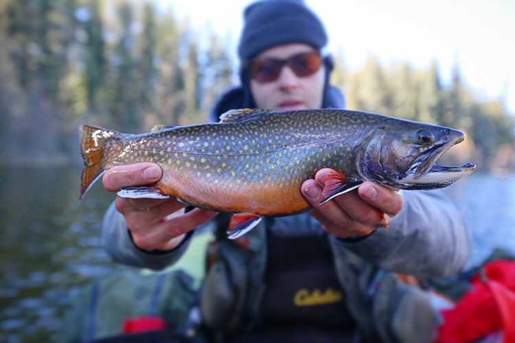 Fly fishing Narrow Hills Saskatchewan